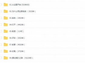 国外自然流大师todd全套完整版