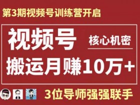 短视频训练营《视频号搬运实操,月入100000+》视频教程