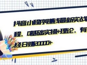 副业教程《抖音小程序赚钱实战,零基础上手攻略》视频教程