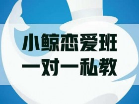 小鲸恋爱班《一对一私教》视频教程