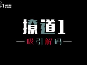 舞步情感《撩道1》无水印PDF电子书