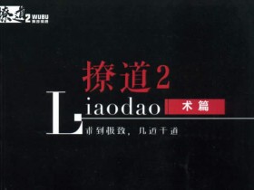 舞步情感《撩道2》无水印PDF电子书