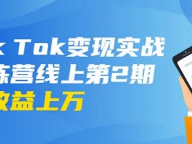 短视频副业《国际版TikTok抖音实战训练营线上第2期 日入100+美刀》视频教程