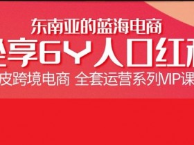 跨境电商虾皮Shopee开店赚钱基础系列课