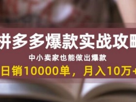 拼多多爆款实战攻略:日销10000单月入10w+