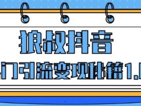 狼叔抖音热门引流变现秘籍1.0