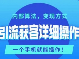 抖音引流获客详细操作攻略:内部算法,变现方式,一个手机就能操作