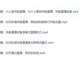 闲鱼项目玩法实战班14期:批量细节玩法