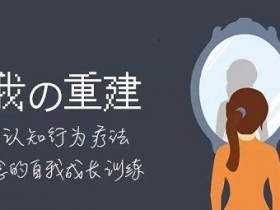 自我的重建《成为内控者》音频教程