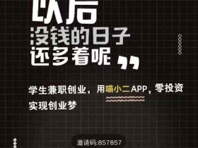 喵小二引流赚钱视频教学,教你快速掌握引流核心!