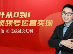 短视频副业《从0到1做视频号运营》教程网盘下载