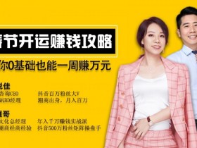 副业赚钱《0基础春节赚钱攻略,做这些事一周赚万元》教程网盘下载