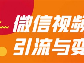 微信短视频引流变现项目:多模式操作月入10000+教程网盘下载