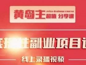副业项目《小红书副业实操项目》教程网盘下载