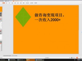 副业项目:做咨询变现项目一次收入2000+教程网盘下载