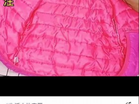 视频号副业项目解析:做生活号一天赚500的实战技巧!