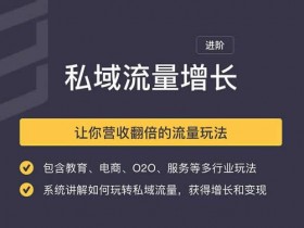 副业教程《私域流量增长》让你营收翻倍的流量玩法