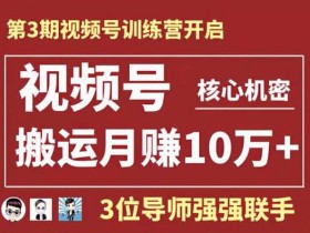 短视频运营《视频号核心教程,用搬运法月入100000+》教程网盘下载