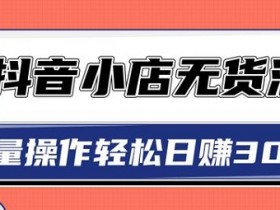 抖音小店无货源赚钱攻略,批量操作轻松日赚300+