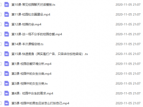 小鲸恋爱班《魅力学长》教程网盘下载