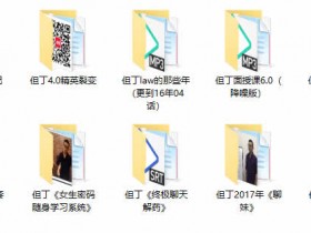 但丁团队10套课程全集 但丁VIP教程12G合集下载