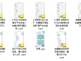 财神大咖《24期项目大赛》教程完整版