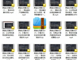 副业教程《黑猫社网赚课程》视频教学