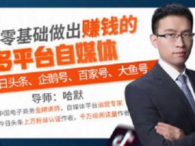 短视频运营《零基础多平台自媒体副业赚钱项目》视频教程