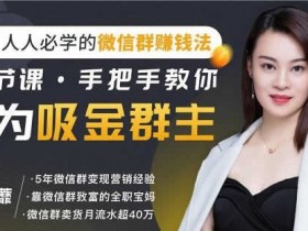 副业项目《微信群赚钱玩法,教你成为吸金群主》视频教程