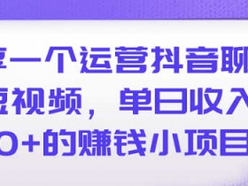 短视频副业《抖音聊天短视频,单日收入6000+》视频教程