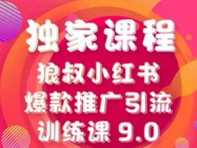 自媒体教程《小红书爆款引流训练营，靠一部手机月入万元》视频课程