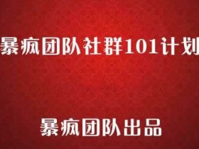 暴疯团队《社群101计划》4节视频课