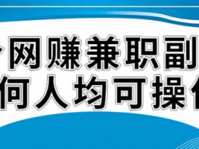 副业项目《零3个基础网赚教程》视频教程1节