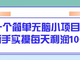 副业教程《新人入门简单无脑操作项目,每日100+》视频教程