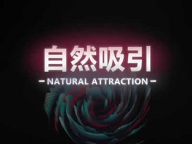 瑞恩原创社交《自然吸引》10节高级课完整版