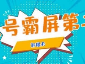 副业引流《公众号霸屏SEO训练营 教你快速截流》视频教程