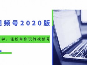 短视频副业《2020视频号攻略,轻松带你玩转视频号》视频教程