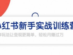 自媒体副业《小红书训练营,轻松玩转小红书月赚过万》视频教程