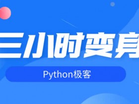 职业技能《快速掌握python技能》视频教程