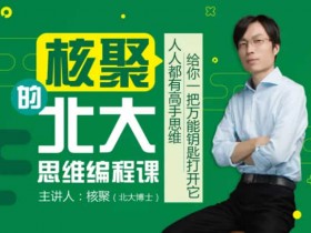 自我提升《思维编程课》7节课程