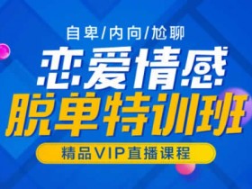 山本教育《素云12期VIP恋爱课堂》32节视频教程