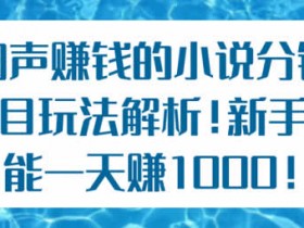 新手副业教程《暴利小说分销玩法解析 日入1000+》视频教程