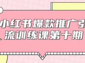 副业教程《小红书爆款引流训练营10期 教你轻松月入10000+》视频教程