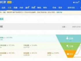 电商副业《网红店玩法,单店利润5000+》视频教程