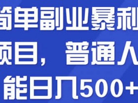 简单易上手暴利小项目《普通人也能日入500+》视频教程