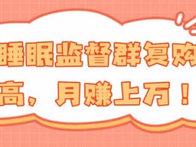 副业教程《睡眠监督项目,实操月入10000+》视频教程