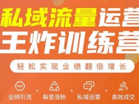 自媒体教程《私域流量运营王炸训练营》视频教程