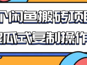 副业项目《懒人闲鱼搬砖项目,傻瓜式复制操作!》视频教程