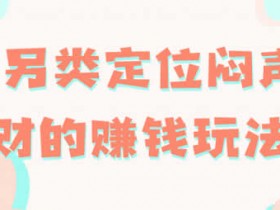 副业项目《B站另类定位闷声发大财的赚钱玩法》视频教程