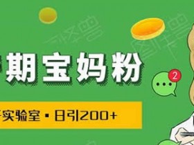 副业引流《日引200+宝妈粉,零基础引流实战课程》图文教程